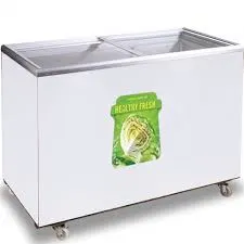 CONCORD CHEST FREEZER WHITE DF 290L FG1600